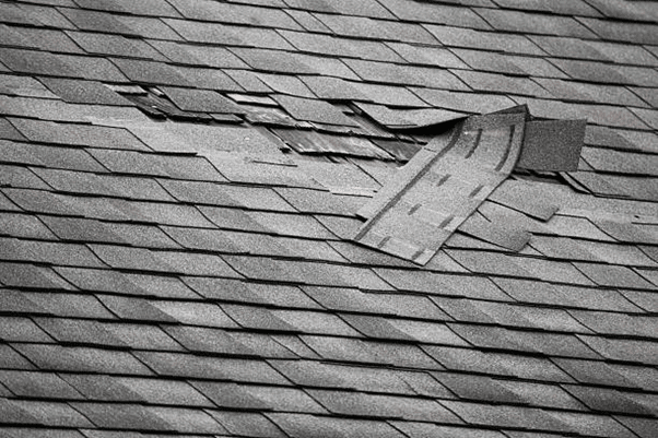 Roof in Port Coquitlam